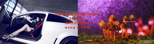 сатива Волоколамск