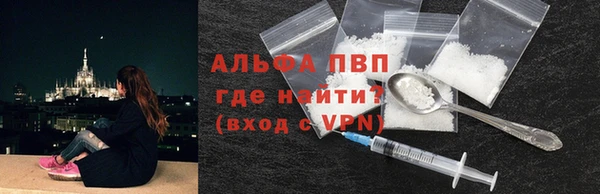 сатива Волоколамск
