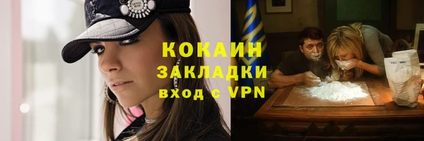 сатива Волоколамск