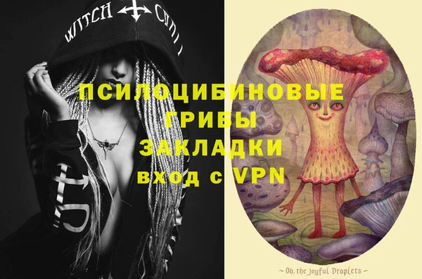 сатива Волоколамск