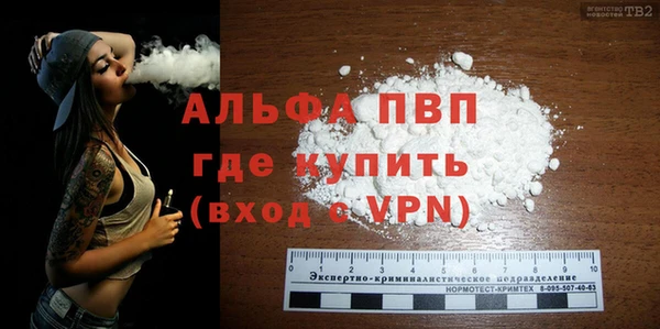 сатива Волоколамск