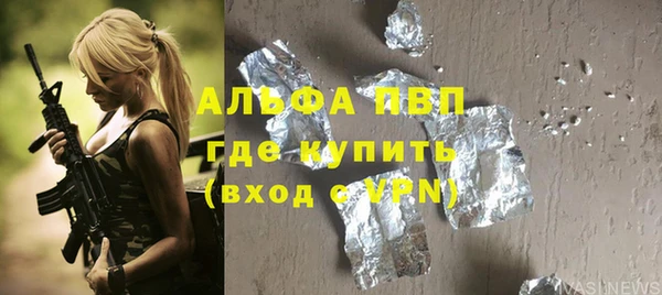 сатива Волоколамск