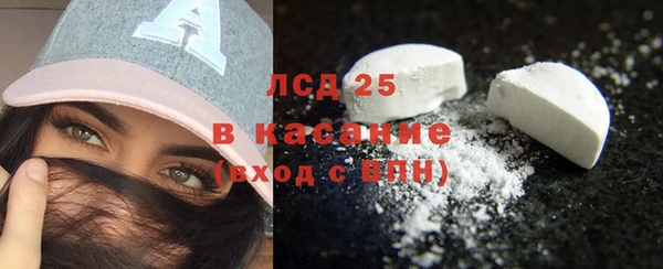 сатива Волоколамск