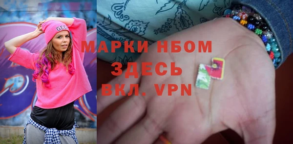 сатива Волоколамск