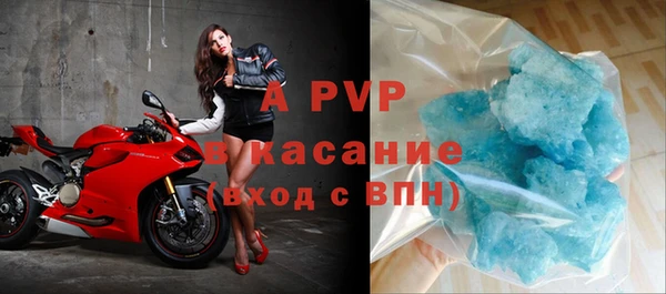 сатива Волоколамск