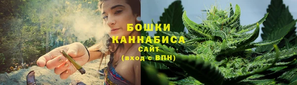 сатива Волоколамск