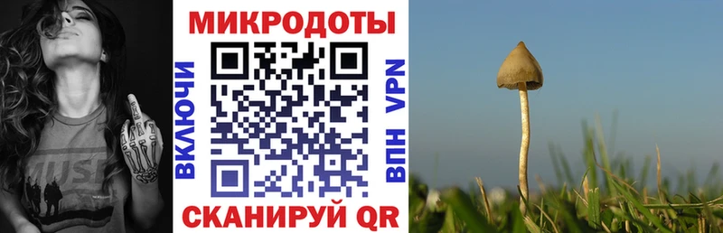 Псилоцибиновые грибы Psilocybe Нурлат