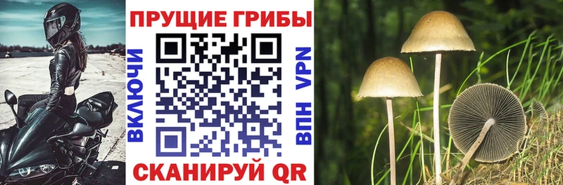 Псилоцибиновые грибы MAGIC MUSHROOMS Купить Нурлат